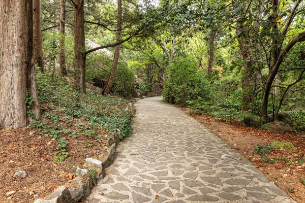 Stone Walkway Repair in Brooklyn