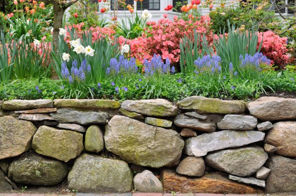Stone Wall Hardscaping in Brooklyn