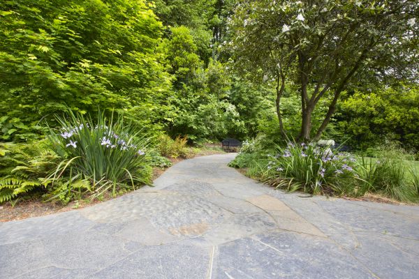 Stone Hardscape Service in Brooklyn