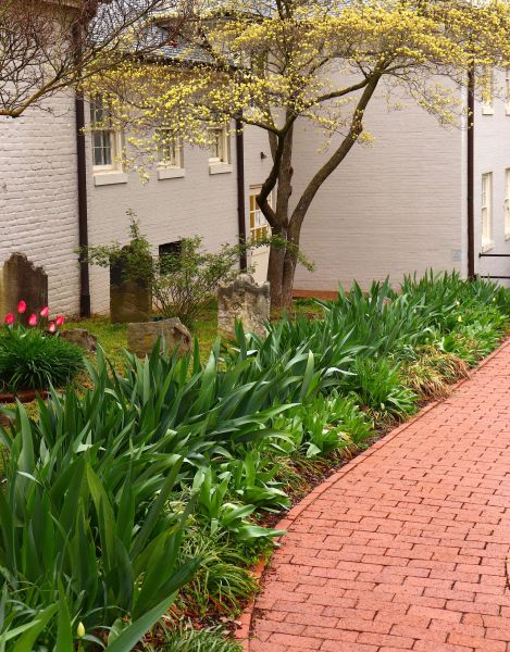 Brick Flatwork Repair in Brooklyn